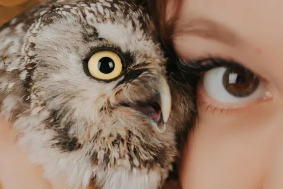 Casino B Bets Stuðningur